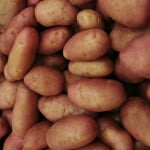   How to Store Potatoes