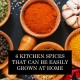   6 Kitchen Spices That Can Be Easily Grown At Home